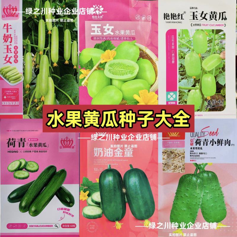 信研水果黄瓜种子大全迷你黄瓜金童玉女种子脆甜黄瓜种籽阳台