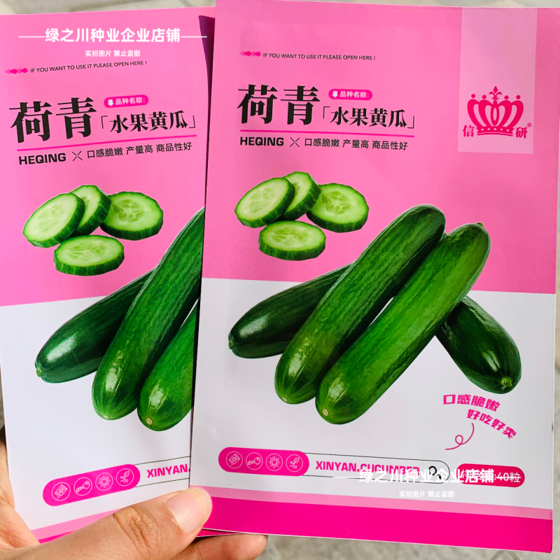 信研水果黄瓜种子大全迷你黄瓜金童玉女种子脆甜黄瓜种籽阳台