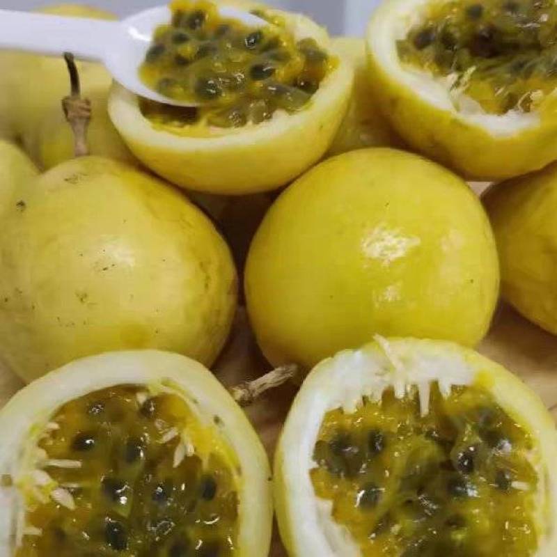 湖南宁远钦密9号黄金百香果