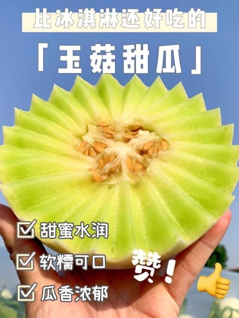 包邮秒发海南玉菇甜瓜，日发万单，欢迎一件代发対接实力代发