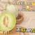 包邮秒发海南玉菇甜瓜，日发万单，欢迎一件代发対接实力代发