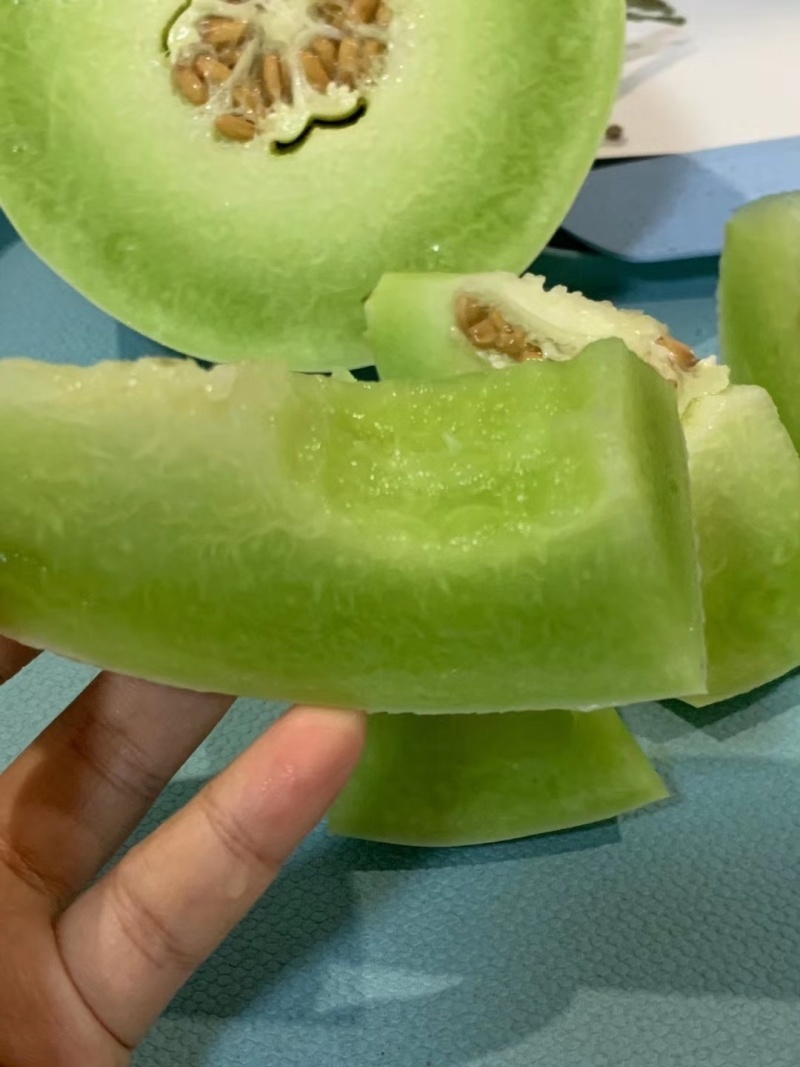 包邮秒发海南玉菇甜瓜，日发万单，欢迎一件代发対接实力代发