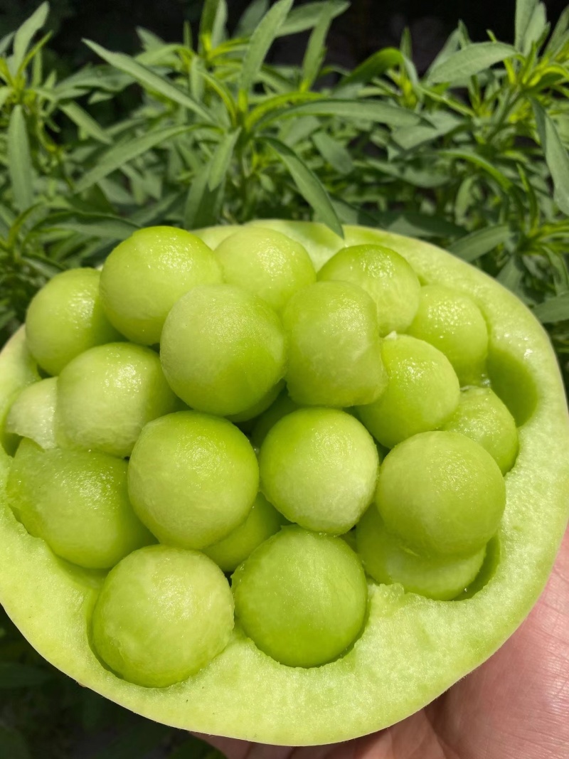 包邮秒发海南玉菇甜瓜，日发万单，欢迎一件代发対接实力代发