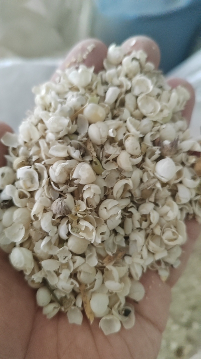 饲料豌豆、豆瓣、豆碎、豌豆皮长年有货