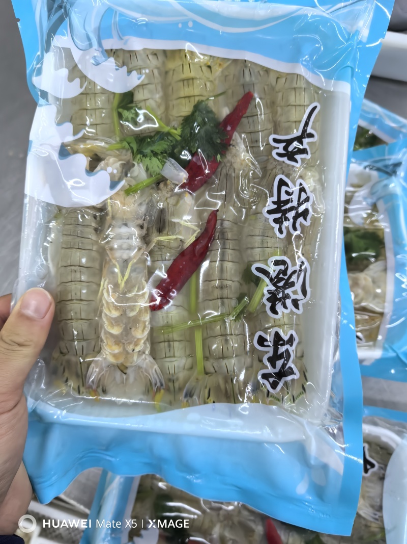 新鲜腌制皮皮虾虾爬子盐卤生呛醉虾爬酱虾即食生吃海鲜东港