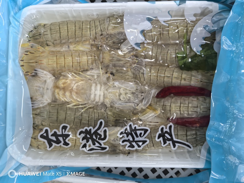 新鲜腌制皮皮虾虾爬子盐卤生呛醉虾爬酱虾即食生吃海鲜东港