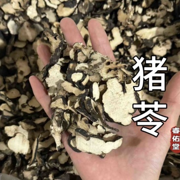 猪苓猪屎苓实拍正品现货发货如图猪苓片