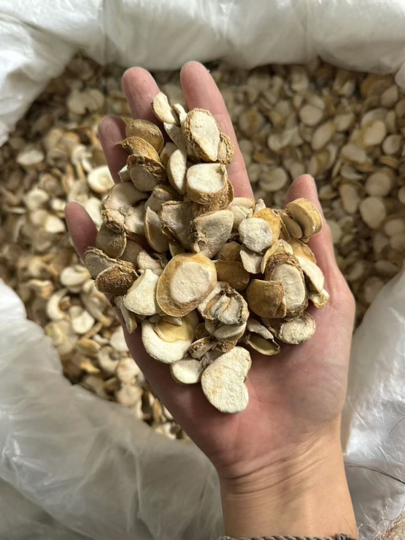 贝母浙贝浙贝母浙贝片大贝大贝片实拍现货贝母片