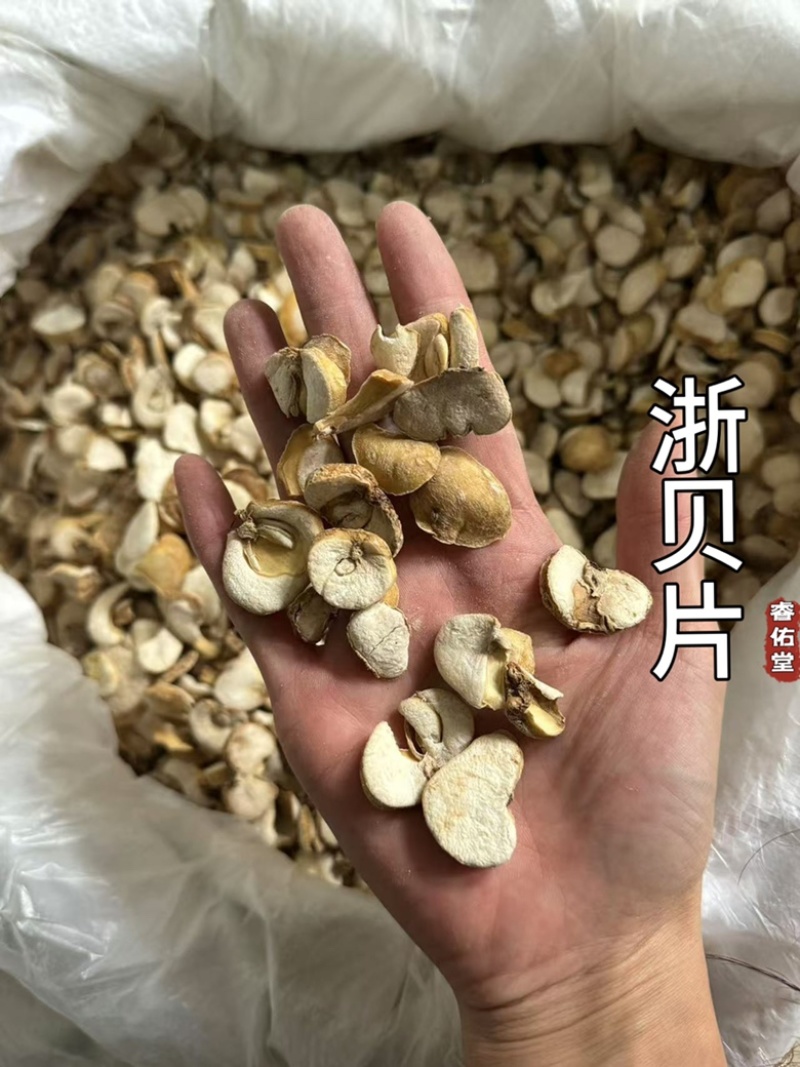 贝母浙贝浙贝母浙贝片大贝大贝片实拍现货贝母片