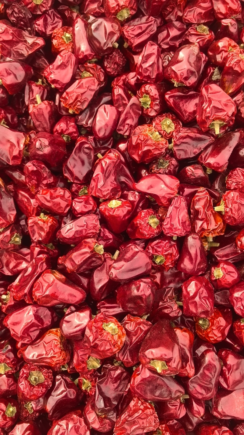 干辣椒灯笼椒，特香草莓辣灯笼椒烘干的烘干