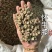 怀牛膝牛膝牛夕实拍发货如图过8个筛怀牛膝现货