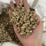 怀牛膝牛膝牛夕实拍发货如图过8个筛怀牛膝现货