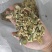 番石榴干片
