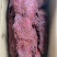 【熟食猪肉】猪肉大块肉麻辣风干大块肉五香大块肉