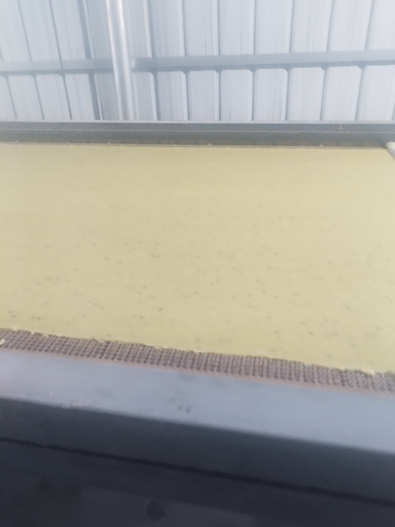 湖北省宜城市半成品黑芝麻红薯片红薯干常年大量供应