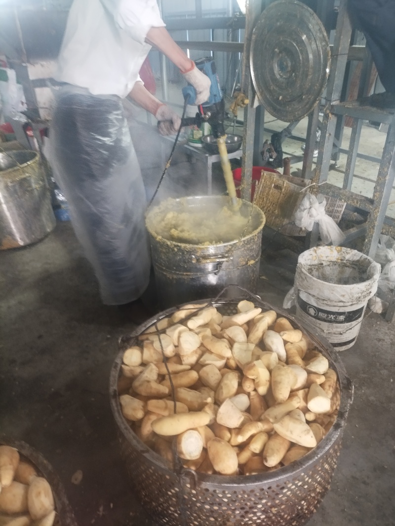 湖北省宜城市半成品黑芝麻红薯片红薯干常年大量供应
