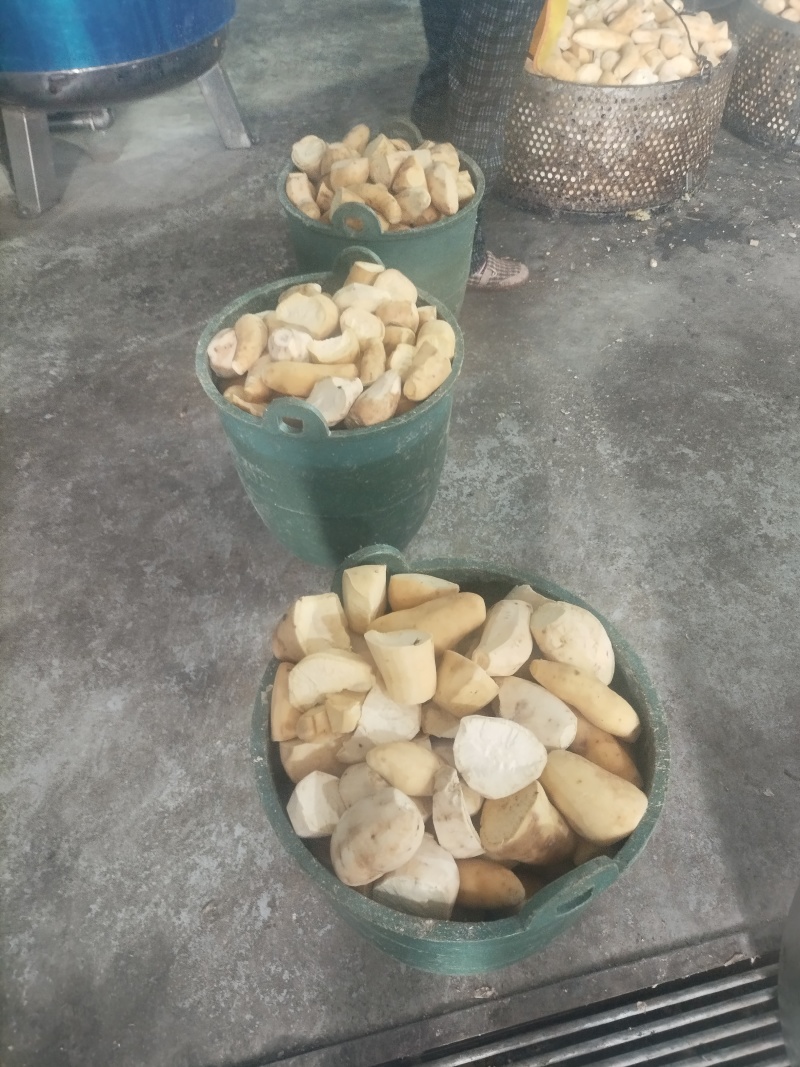 湖北省宜城市半成品黑芝麻红薯片红薯干常年大量供应