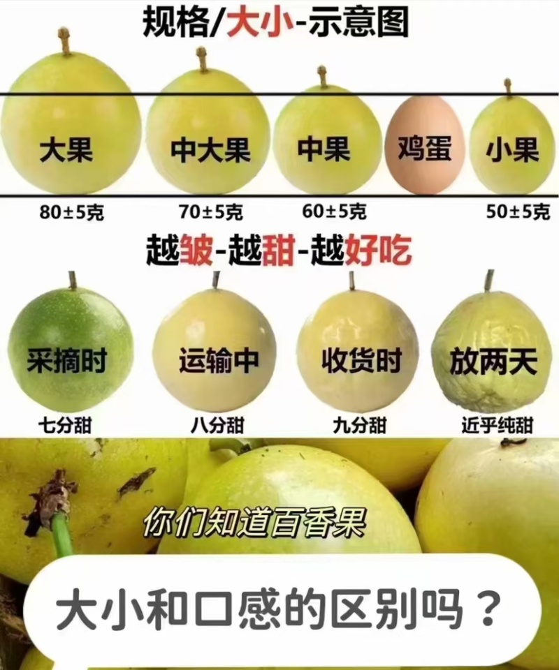 百香果种植大户产地直发一件代发电商零售礼盒48小时内发货