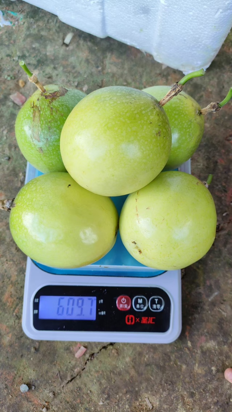 百香果种植大户产地直发一件代发电商零售礼盒48小时内发货