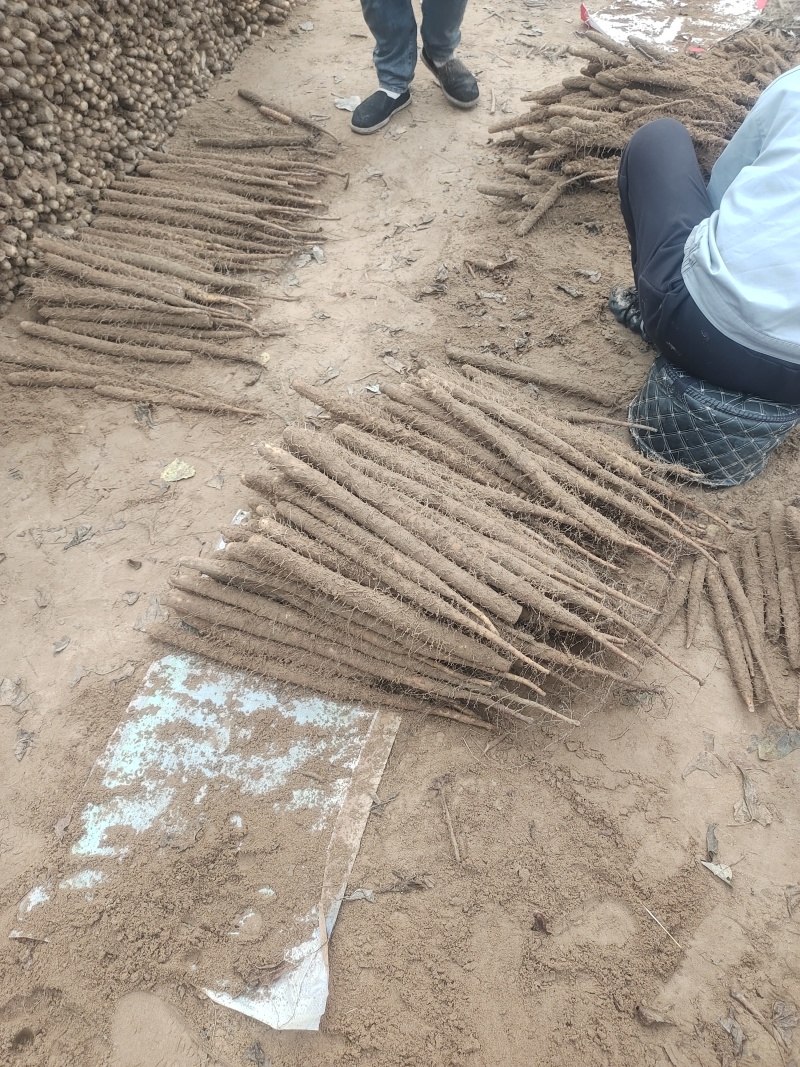 双棒三路，产地直发货，欢迎各位老板前来采购