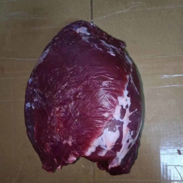 全牛部位鲜肉国产清真屠宰手续齐全