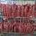 全牛部位鲜肉国产清真屠宰手续齐全
