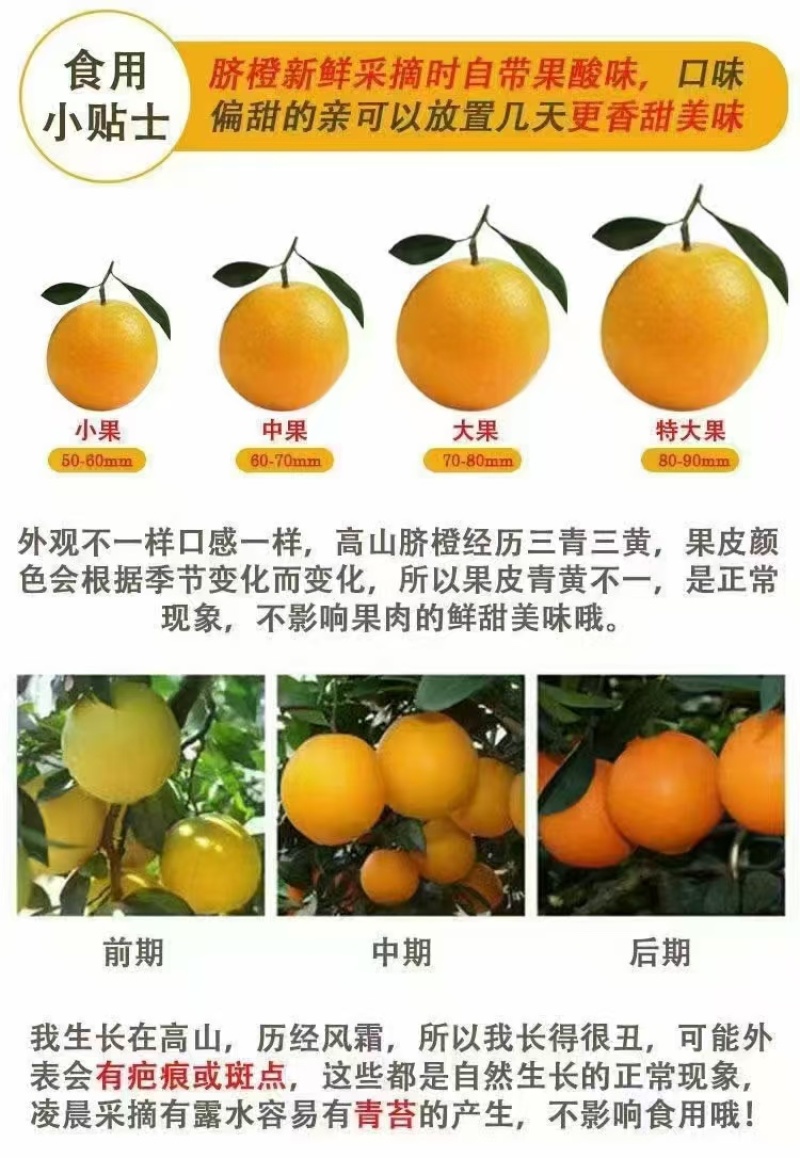 脐橙通货2000斤起，3.5，量大价格可谈