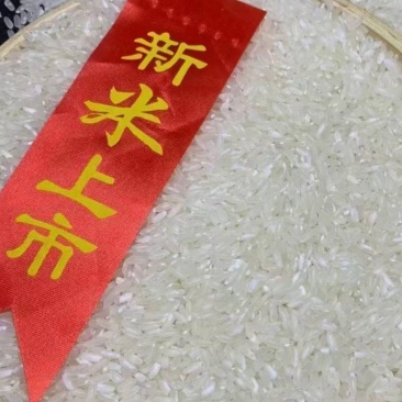 稻花香大米
