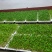 新鲜香椿芽苗菜香椿苗2两装一件（盒）