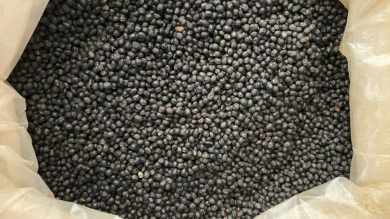 批发零售中药材淡豆鼓新货一斤起发量大从优