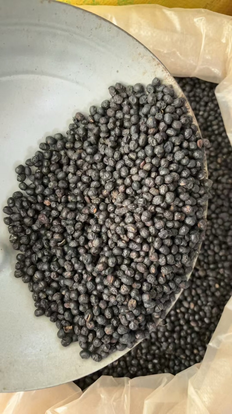 批发零售中药材淡豆鼓新货一斤起发量大从优