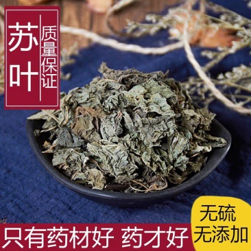 中药材野生苏叶正品紫苏叶***新鲜干货泡茶50