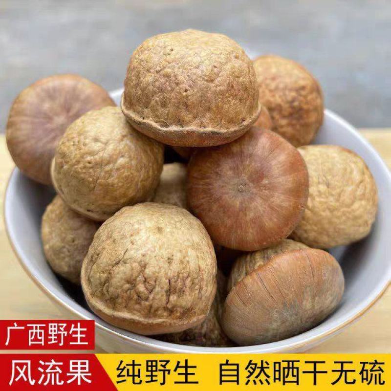 中药材风流果
