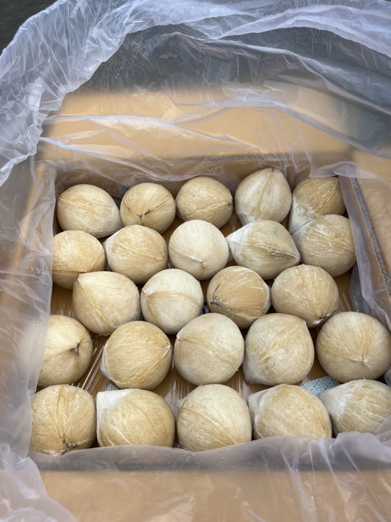 泰国进口椰皇新鲜椰子水泰国进口椰青