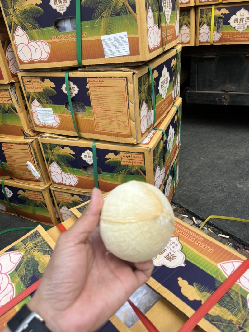 泰国进口椰皇新鲜椰子水泰国进口椰青