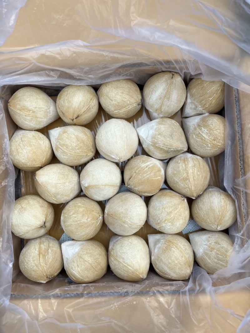泰国进口椰皇新鲜椰子水泰国进口椰青