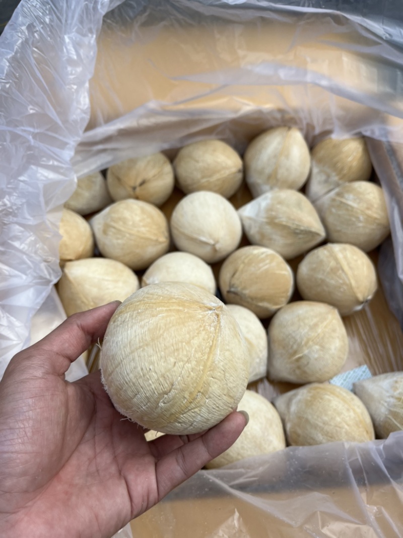 泰国进口椰皇新鲜椰子水泰国进口椰青