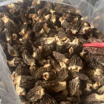 羊肚菌头茬厚肉，丑股4-7公分，