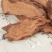 特级金锁阳500g