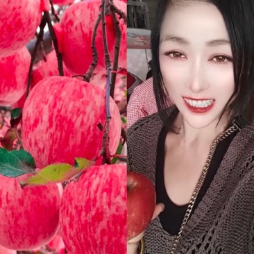 山东红富士苹果产地！颜色鲜艳，口感脆甜！火爆热卖诚信合作