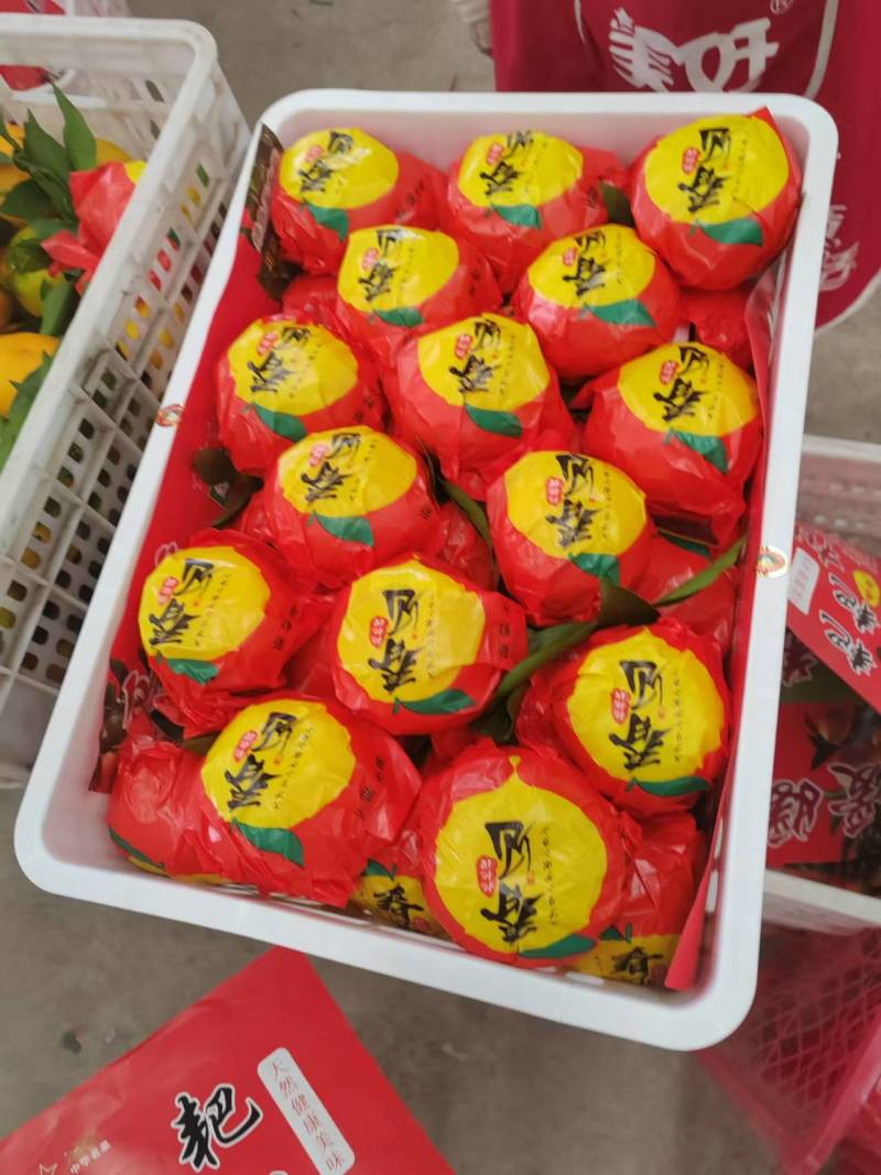 耙耙柑纯甜化渣产地直销，热情欢迎各位老板前来品尝购买