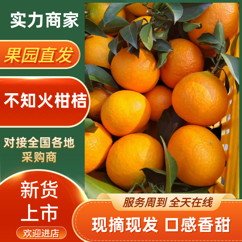 【实力商家】不知火丑橘产地发货量大从优新鲜采摘欢迎咨询