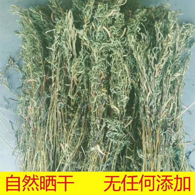 精选新货中药材软肝草铁甲草益肝草500克包邮