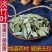 新货淡竹叶中药材泡茶500g干货新鲜竹叶卷心另有紫苏叶灯