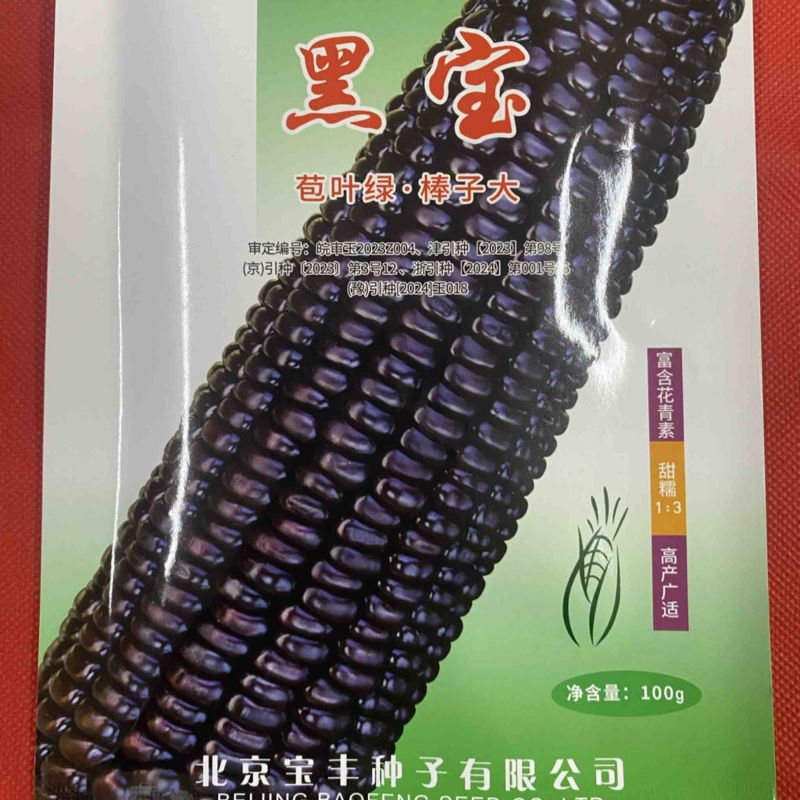 【国审】黑甜加糯糯玉米种子大穗25厘米甜糯1：3