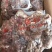 熟羊肉，去皮，带皮熟羊肉，厂家直销，长期供应，量大从优，