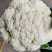 （松花）湖北荆州蔬果专业合作社基地生产，品质保证，质量好