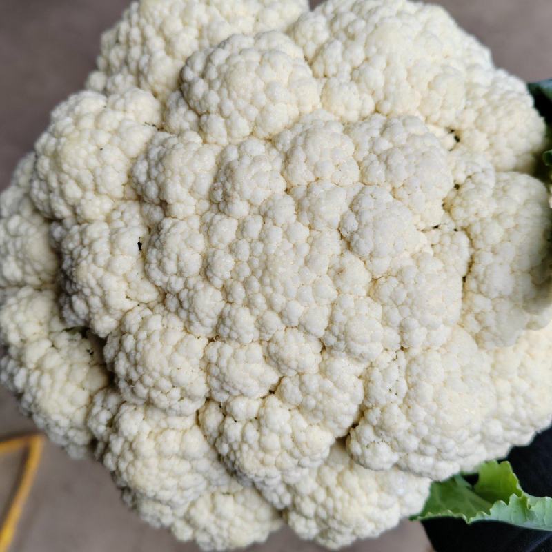 （松花）湖北荆州蔬果专业合作社基地生产，品质保证，质量好