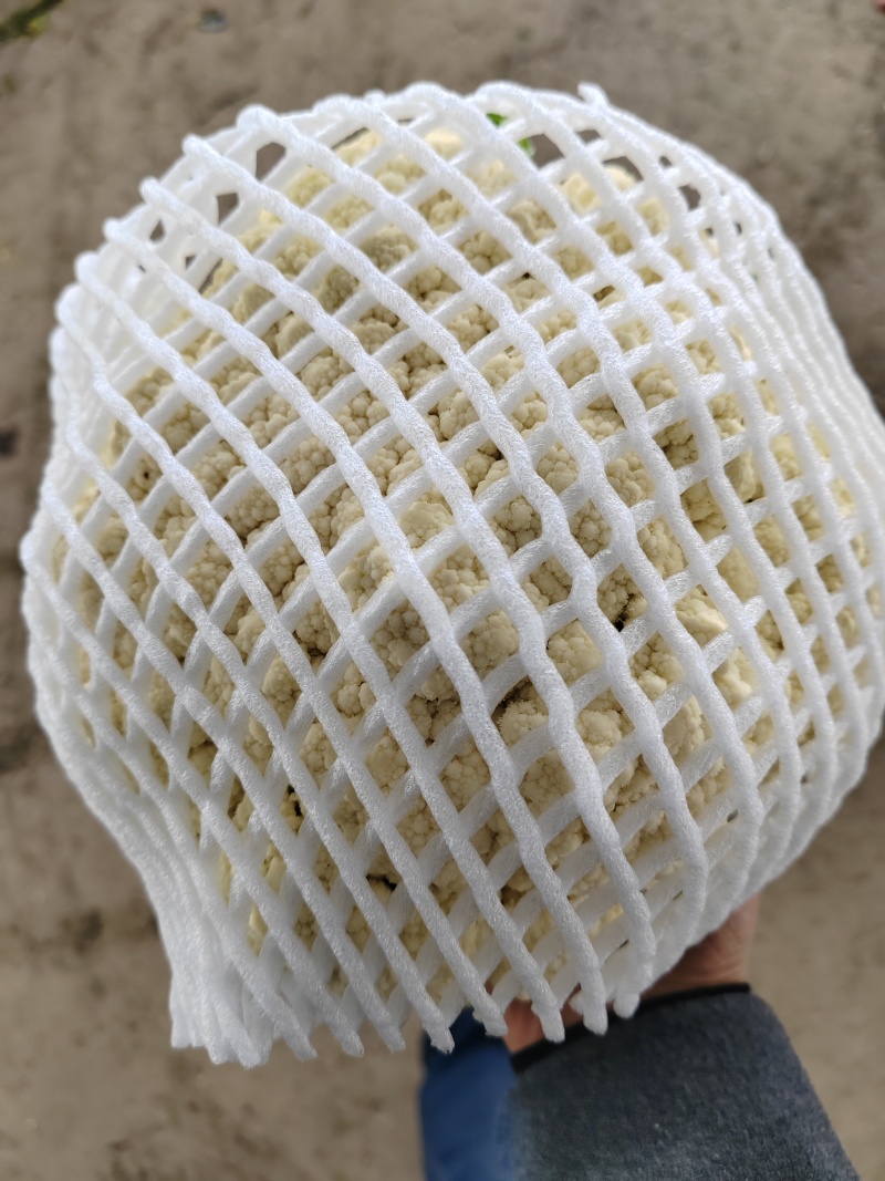 （松花）湖北荆州蔬果专业合作社基地生产，品质保证，质量好