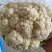 （松花）湖北荆州蔬果专业合作社基地生产，品质保证，质量好